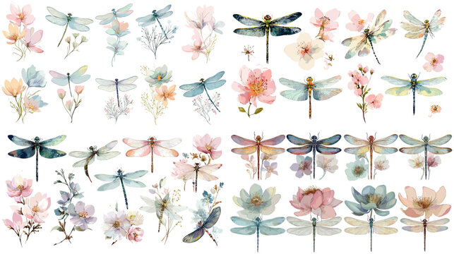 Elegant watercolor illustration set of dragonflies and blooming flowers in soft pastel tones. Ideal for wedding invitations, stationery, wall art, and botanical nature design projects.