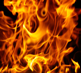 The image is of a very bright orange flame, with a lot of detail and texture