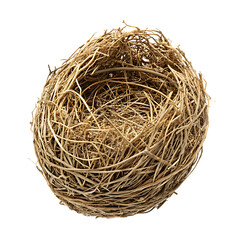Obraz premium nest isolated on white background