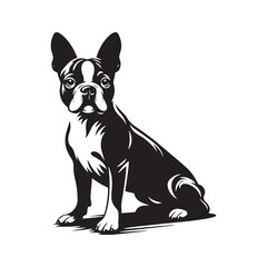 Boston Terrier Dog Vector Silhouette – Distinctive Small Breed Outline Design, Perfect for Pet Lovers, Canine Art, Logos, Prints, Home Decor, Illustrations, and Graphic Projects
