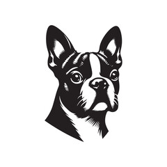 Boston Terrier Dog Vector Silhouette – Distinctive Small Breed Outline Design, Perfect for Pet Lovers, Canine Art, Logos, Prints, Home Decor, Illustrations, and Graphic Projects
