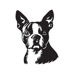 Boston Terrier Dog Vector Silhouette – Distinctive Small Breed Outline Design, Perfect for Pet Lovers, Canine Art, Logos, Prints, Home Decor, Illustrations, and Graphic Projects
