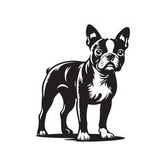 Boston Terrier Dog Vector Silhouette – Distinctive Small Breed Outline Design, Perfect for Pet Lovers, Canine Art, Logos, Prints, Home Decor, Illustrations, and Graphic Projects

