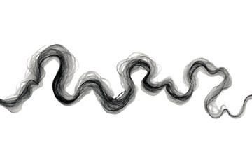 Obraz premium Black Pastel Squiggle Design Element Isolated on Transparent Background