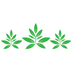 Green Leaf Plant Icon Set &ndash; Minimal Botanical Illustration
