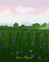 Romantic Landscape with Violet Sky and Cornflowers