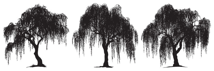 Three Realistic Weeping Willow Tree Silhouettes, a versatile collection of three realistic weeping willow trees for various design projects.