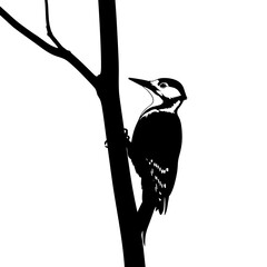 vector illustration of woodkeeper