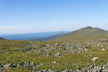 landscape of the Northern Urals with rocky mountain tundra