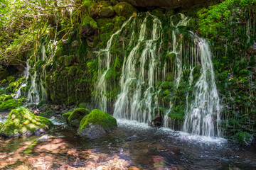 絶え間なく湧き水が溢れ出す緑の中の滝