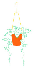 Hanging plant png houseplant doodle