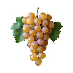bunch of grapes
