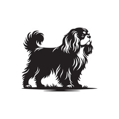 Cavalier King Charles Spaniel Vector Silhouette – Elegant Toy Breed Outline, Perfect for Dog Lovers, Pet Art, Logos, Prints, Graphic Design, Illustrations, Home Decor, and Creative Projects
