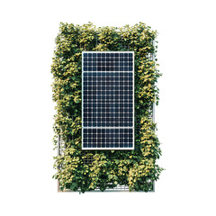 window with green leaves