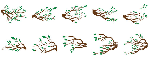 Set of green tree branches with fresh green leaves