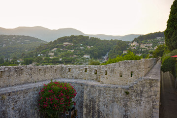 Flowering bush on stone fortress wall with mountain view in Saint Paul de Vence France