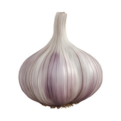 garlic isolated on white background