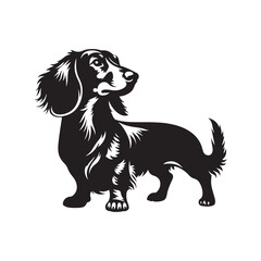 Dachshund Vector Silhouette – Distinctive Long-Bodied Small Dog Outline, Perfect for Pet Lovers, Logos, Prints, Graphic Design, Illustrations, Home Decor, Stencils, Icons, and Creative Projects
