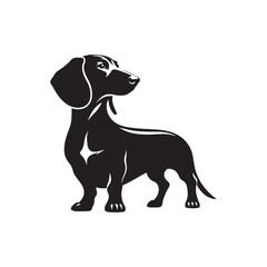 Fototapeta premium Dachshund Vector Silhouette – Iconic Long-Bodied Breed Outline, Perfect for Dog Lovers, Pet Art, Logos, Prints, Graphic Design, Illustrations, Home Decor, Stencils, and Creative Projects 