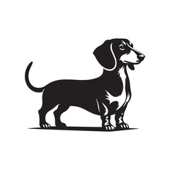 Dachshund Vector Silhouette – Iconic Long-Bodied Breed Outline, Perfect for Dog Lovers, Pet Art, Logos, Prints, Graphic Design, Illustrations, Home Decor, Stencils, and Creative Projects
