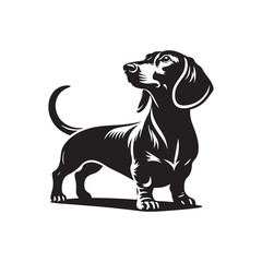 Dachshund Vector Silhouette – Iconic Long-Bodied Breed Outline, Perfect for Dog Lovers, Pet Art, Logos, Prints, Graphic Design, Illustrations, Home Decor, Stencils, and Creative Projects

