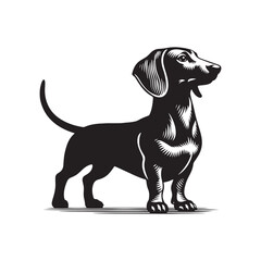 Dachshund Vector Silhouette – Iconic Long-Bodied Breed Outline, Perfect for Dog Lovers, Pet Art, Logos, Prints, Graphic Design, Illustrations, Home Decor, Stencils, and Creative Projects
