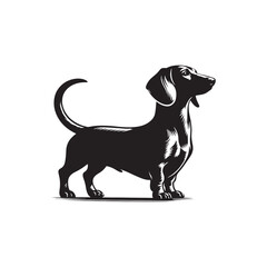 Dachshund Vector Silhouette – Iconic Long-Bodied Breed Outline, Perfect for Dog Lovers, Pet Art, Logos, Prints, Graphic Design, Illustrations, Home Decor, Stencils, and Creative Projects
