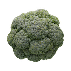 broccoli isolated on white background