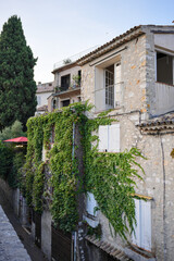 Fototapeta premium Historic stone architecture with ivy in Provence village