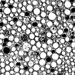 Abstract circles pattern vector design black and white illustration for background and texture art 100