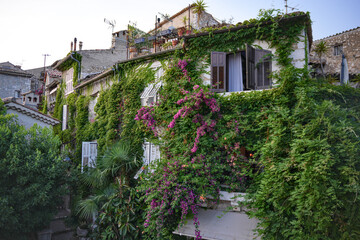 Traditional stone house covered with ivy and flowers in Saint Paul de Vence Provence