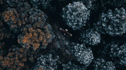 Vibrant tangerine and night gray, AI in wildlife photography, digital forest, quiet and precise, drone capturing rare bird with tracking overlay