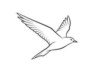 Obraz premium Bird in flight simple graphic design illustration