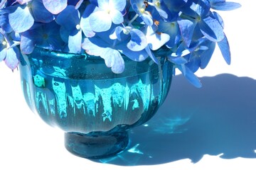 Hydrangea flowers in a blue-green glass casting reflections on white fabric under sunlight