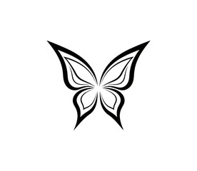 Butterfly design graphic
