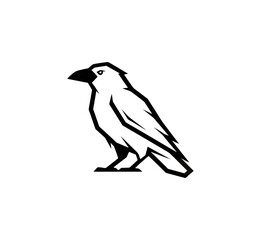 Obraz premium White bird silhouette on black background