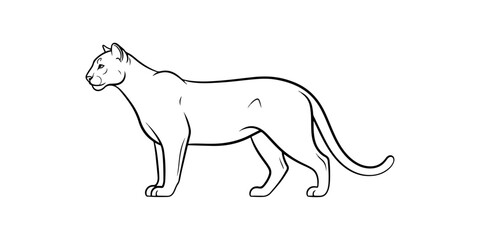Obraz premium Profile of a cougar line drawing