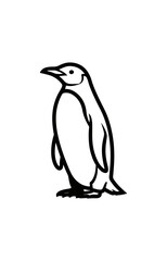 Penguin illustration