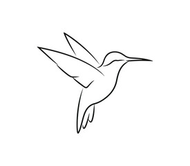 Hummingbird line art silhouette