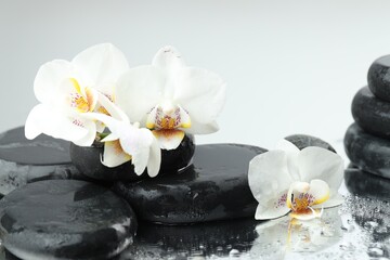 Beautiful orchid flowers, water drops and spa stones on mirror surface, closeup