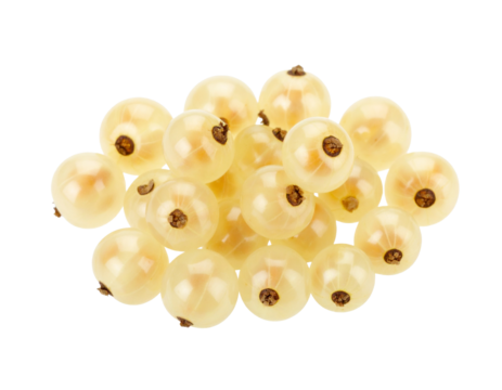 White currants isolated on transparent background