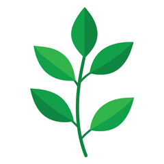 A delicate green sprig with three vibrant leaves and a small twig perfect for nature themed designs