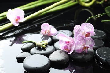 Beautiful orchid flowers with water drops, spa stones and bamboo stems on mirror surface, closeup