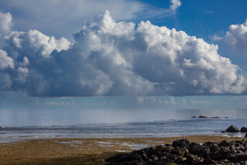 奄美大島の朝の海と夏雲。