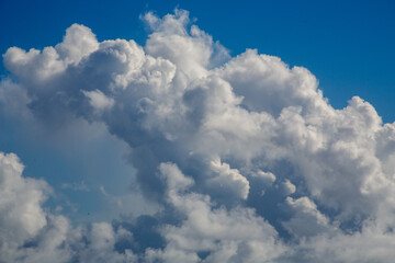 奄美大島の朝の海と夏雲。