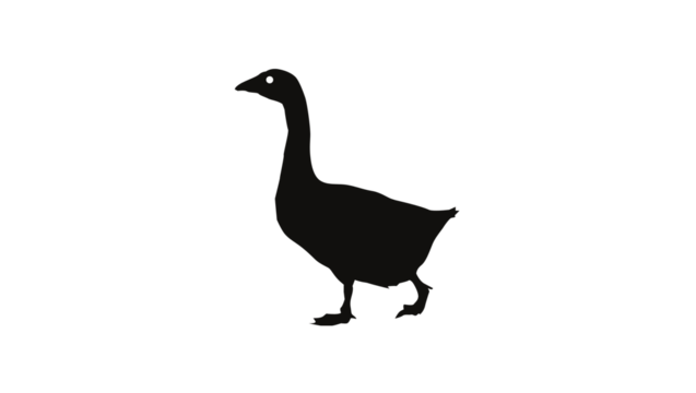 Silhouette of a Walking Goose Against a White Background, Nature Illustration