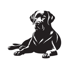 Labrador Retriever vector silhouette showcasing loyal, friendly, and playful nature, ideal for pet art, dog breed graphics, creative design, wall decor, digital projects, logos, and illustrations.
