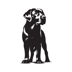 Labrador Retriever vector silhouette showcasing loyal, friendly, and playful nature, ideal for pet art, dog breed graphics, creative design, wall decor, digital projects, logos, and illustrations.
