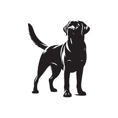 Labrador Retriever vector silhouette showcasing loyal, friendly, and playful nature, ideal for pet art, dog breed graphics, creative design, wall decor, digital projects, logos, and illustrations.
