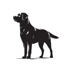 Labrador Retriever vector silhouette showcasing loyal, friendly, and playful nature, ideal for pet art, dog breed graphics, creative design, wall decor, digital projects, logos, and illustrations.
